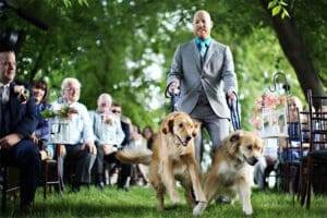 Reasons to Choose a Dog Friendly Wedding Venue