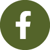 facebook ga icon