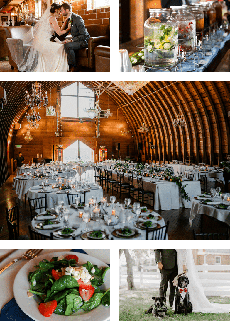 collage What We Offer 03 2024